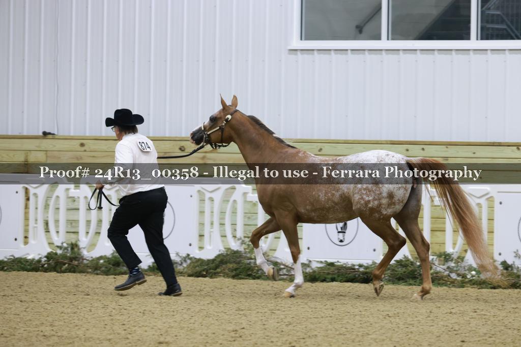 Proof 24R13_00358