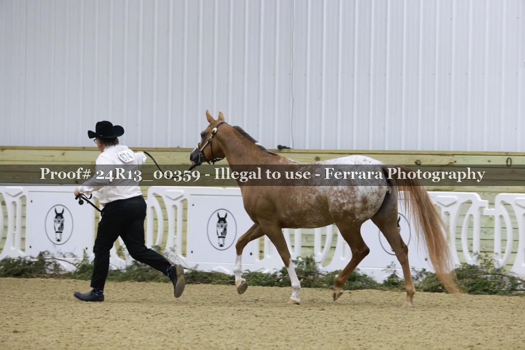 Proof 24R13_00359