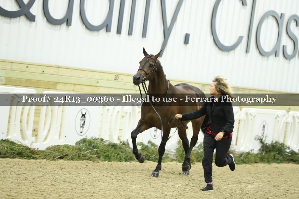 Proof 24R13_00360