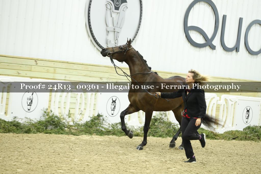 Proof 24R13_00361