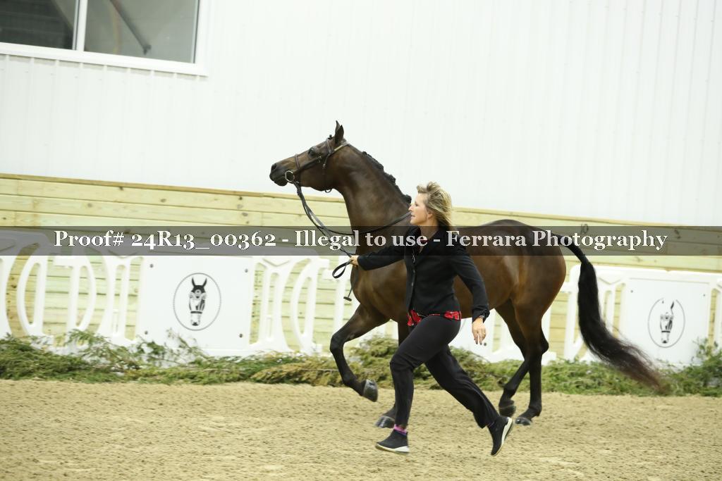 Proof 24R13_00362