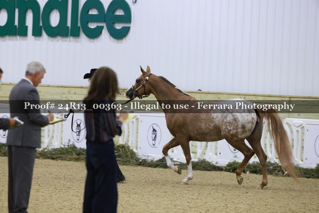 Proof 24R13_00363