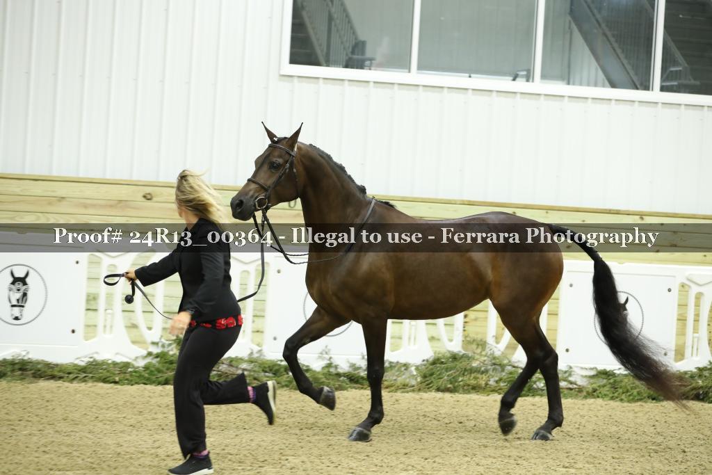 Proof 24R13_00364