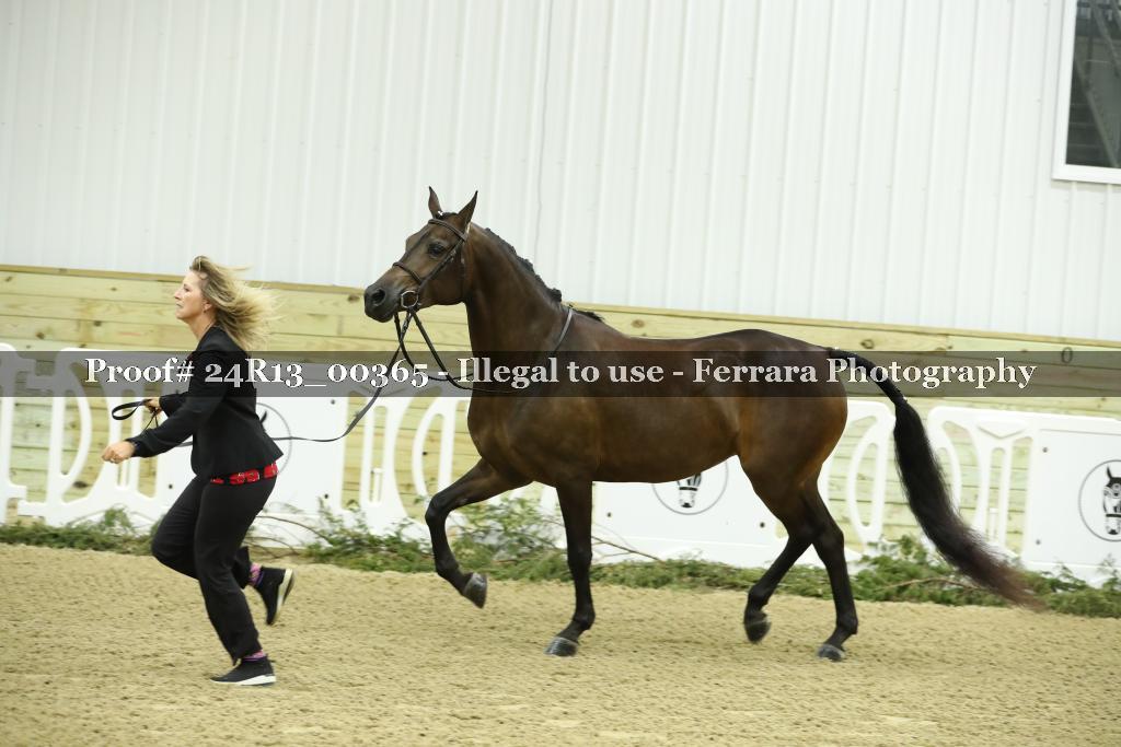 Proof 24R13_00365