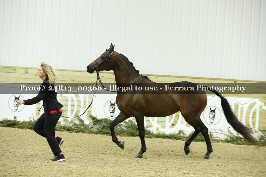 Proof 24R13_00366