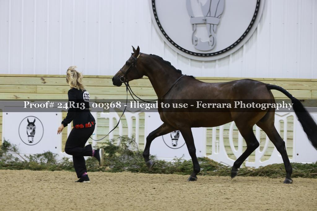 Proof 24R13_00368