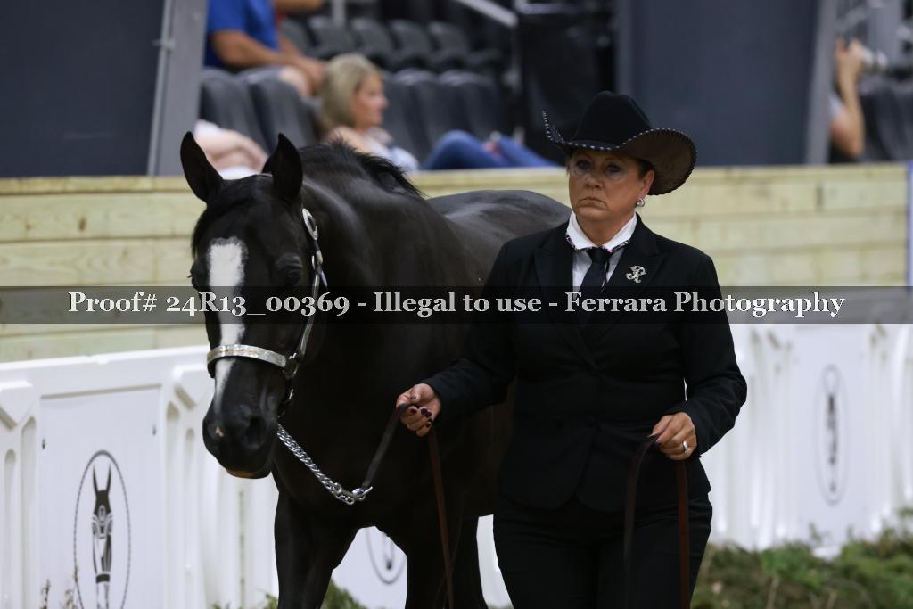 Proof 24R13_00369