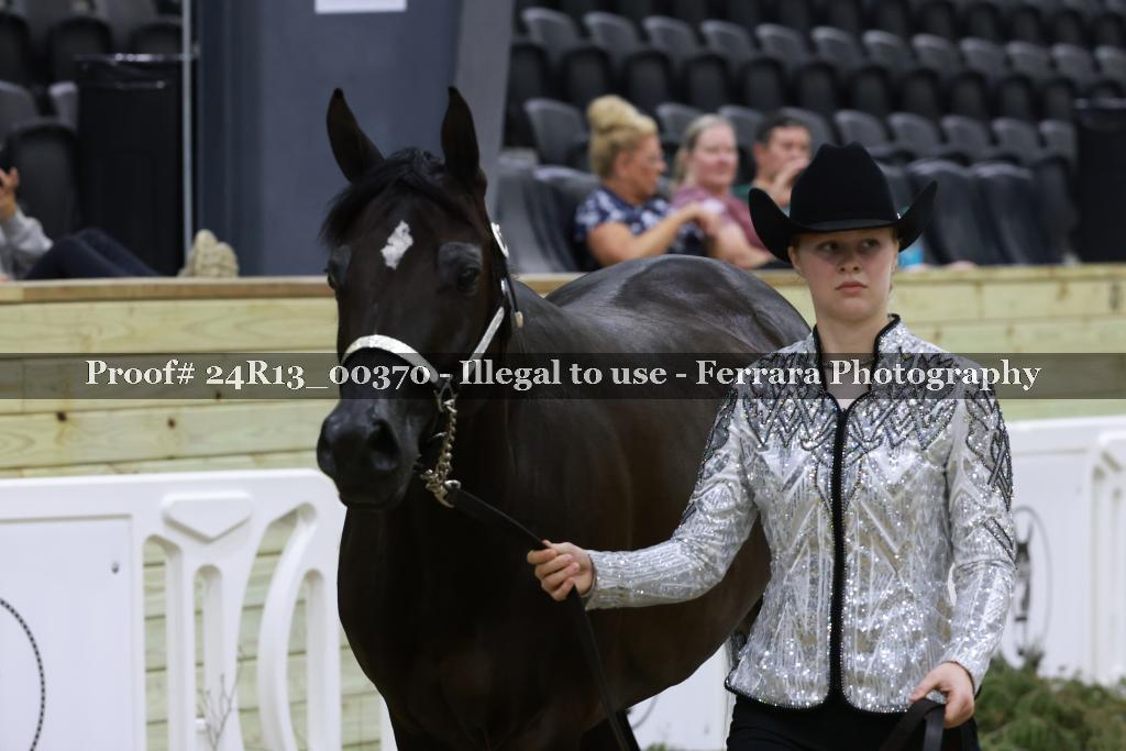 Proof 24R13_00370