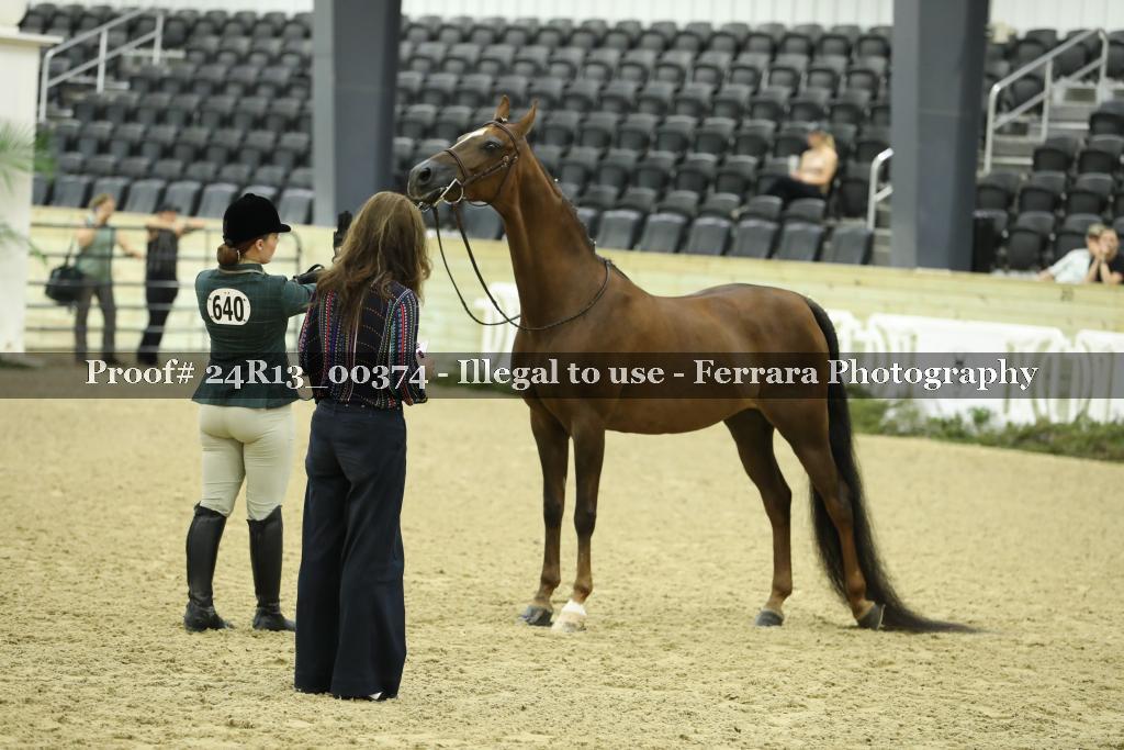 Proof 24R13_00374