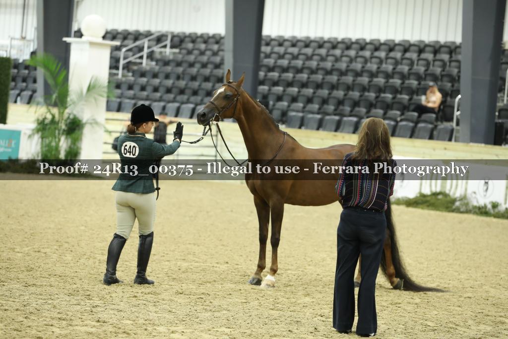 Proof 24R13_00375