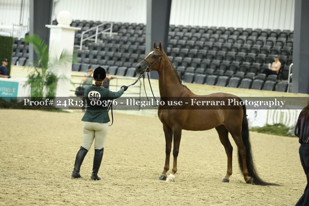 Proof 24R13_00376