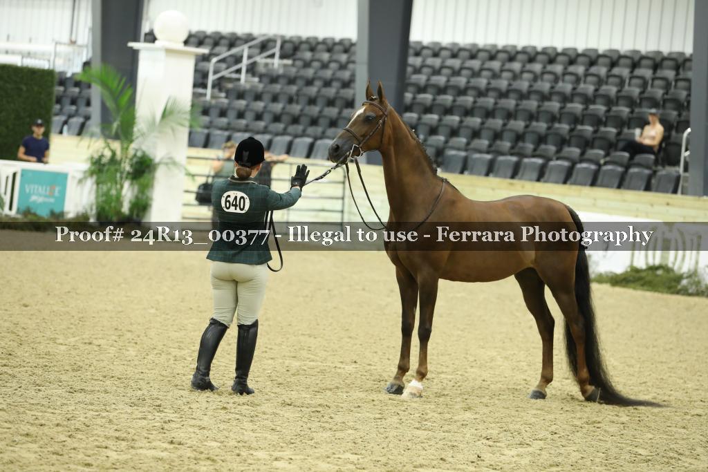 Proof 24R13_00377