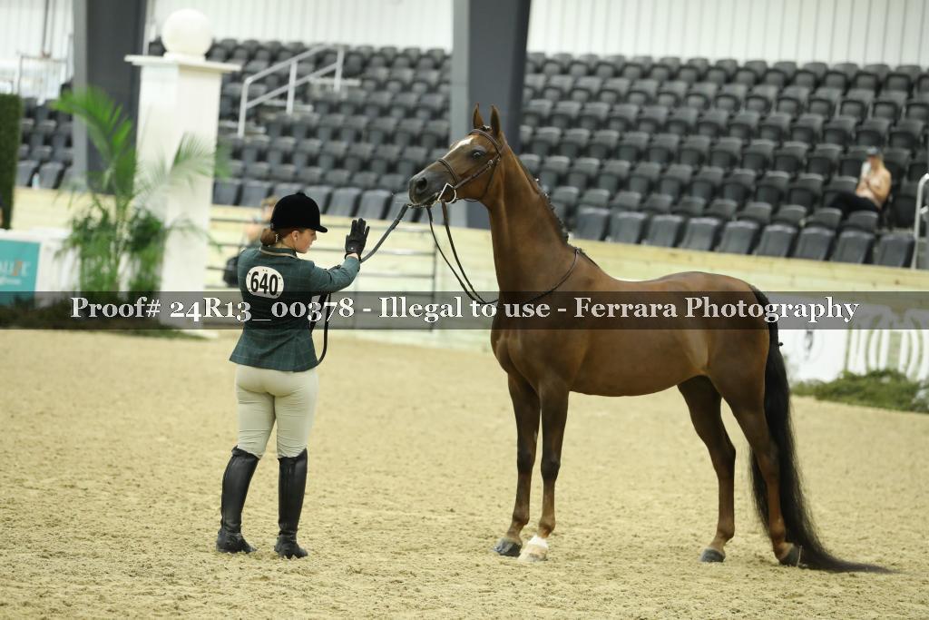 Proof 24R13_00378