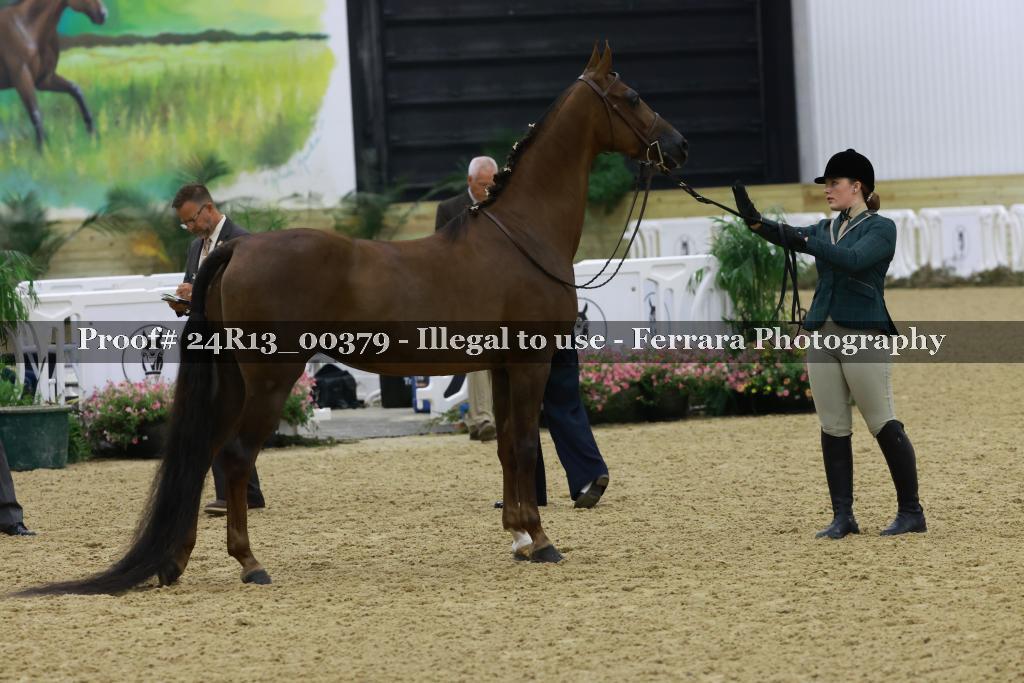 Proof 24R13_00379
