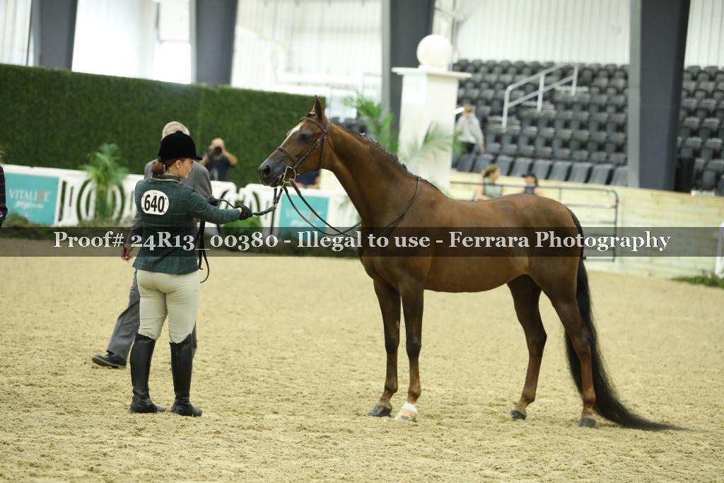 Proof 24R13_00380