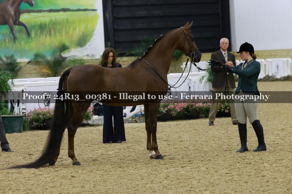 Proof 24R13_00381