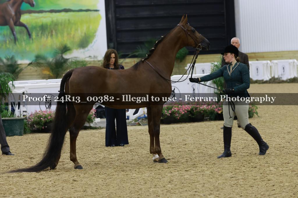 Proof 24R13_00382