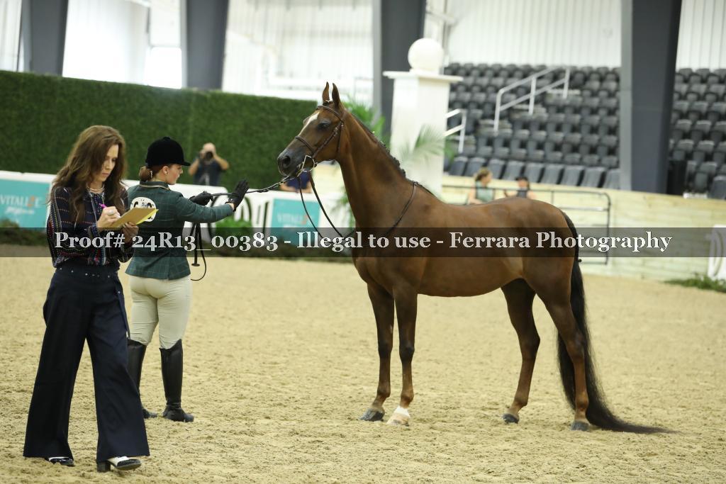 Proof 24R13_00383