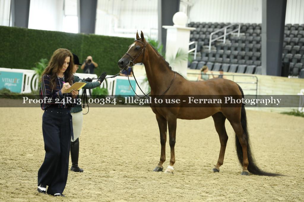 Proof 24R13_00384