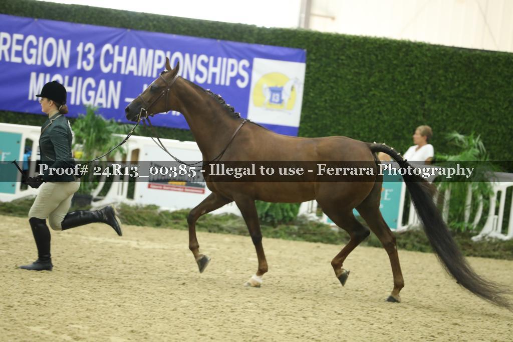 Proof 24R13_00385