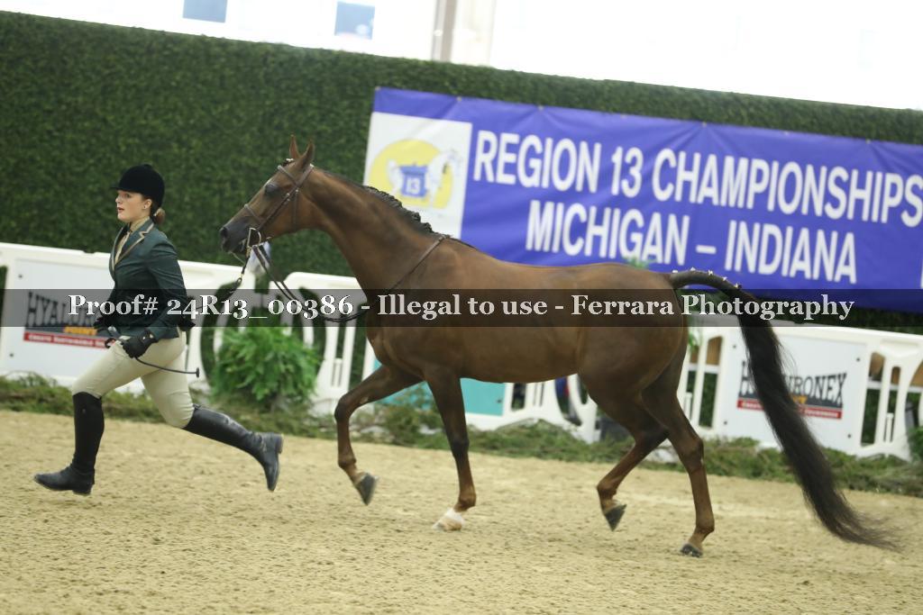 Proof 24R13_00386