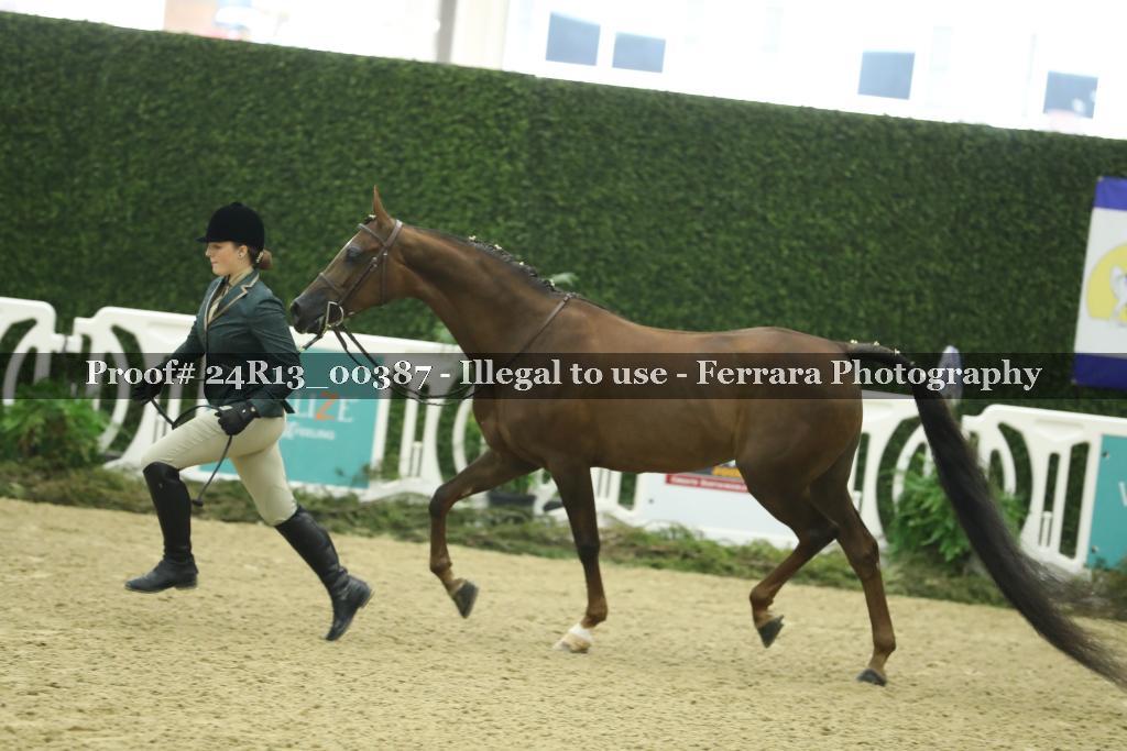 Proof 24R13_00387