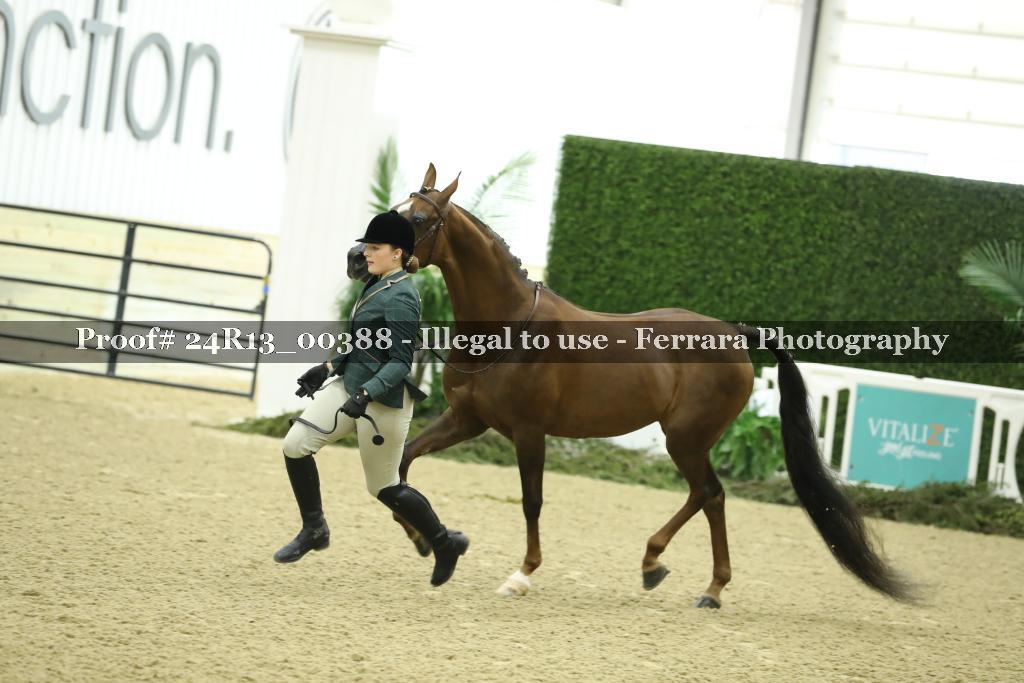 Proof 24R13_00388