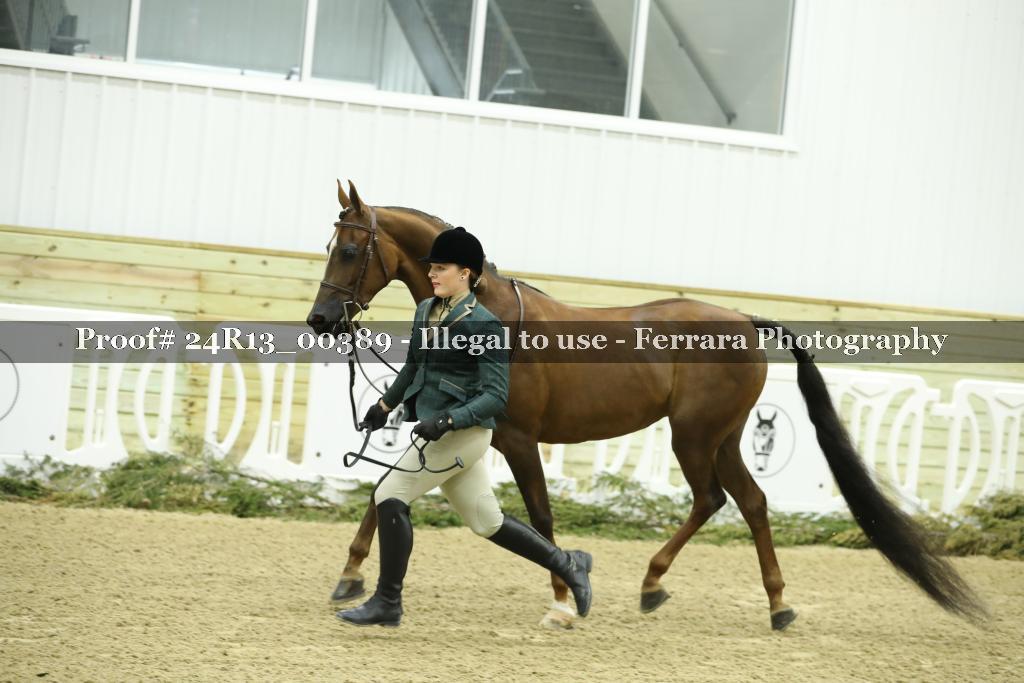 Proof 24R13_00389