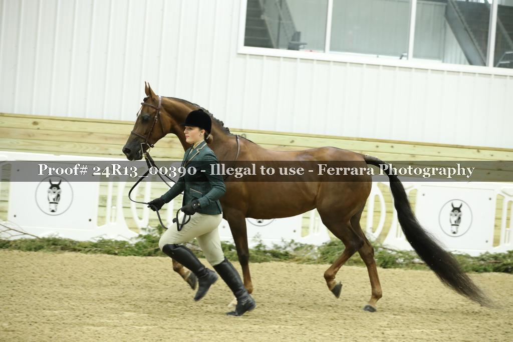 Proof 24R13_00390