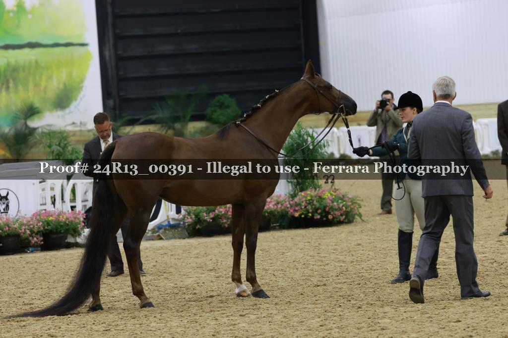 Proof 24R13_00391