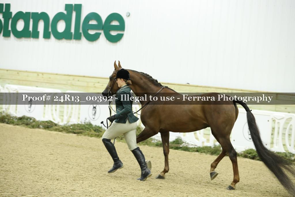 Proof 24R13_00392