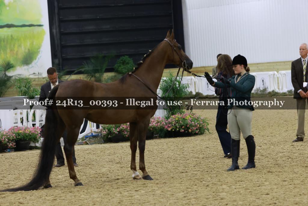 Proof 24R13_00393