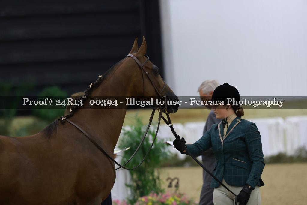 Proof 24R13_00394