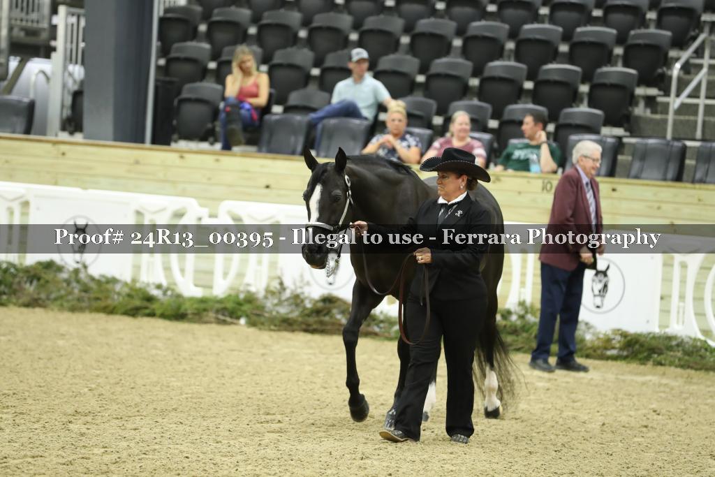 Proof 24R13_00395