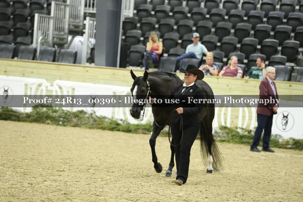 Proof 24R13_00396