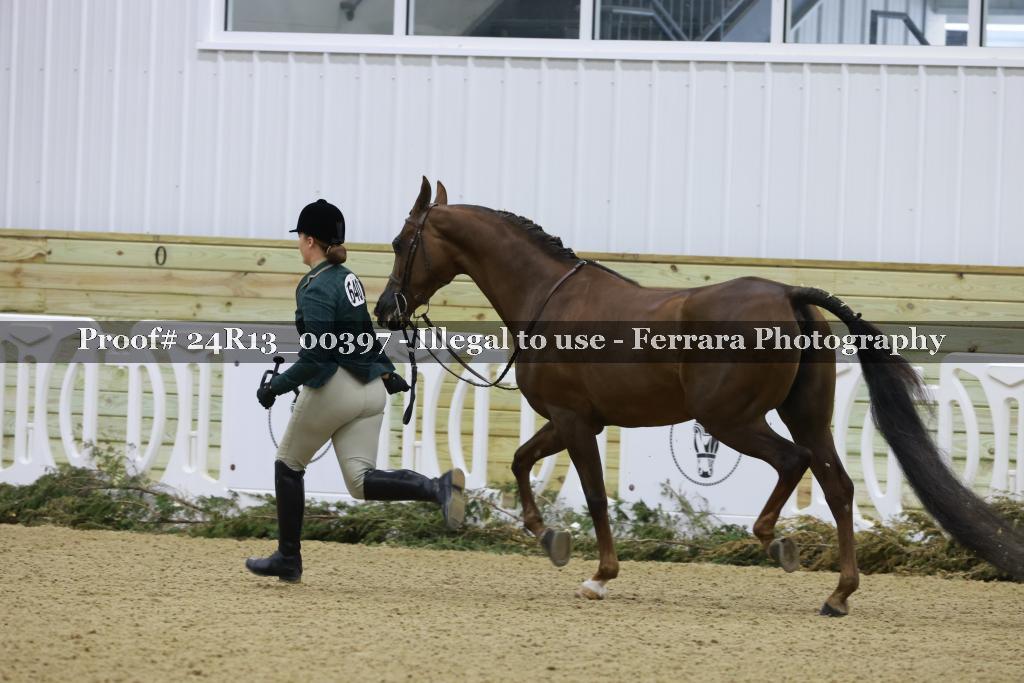Proof 24R13_00397