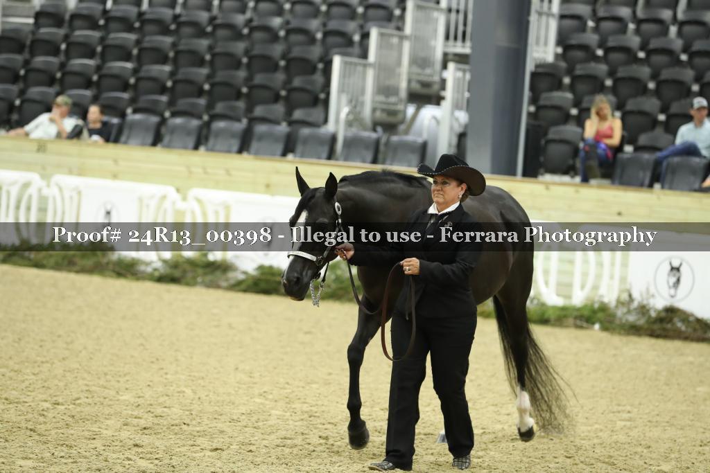 Proof 24R13_00398