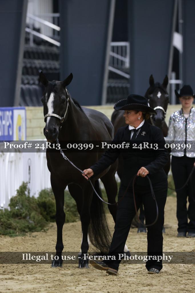 Proof 24R13_00399