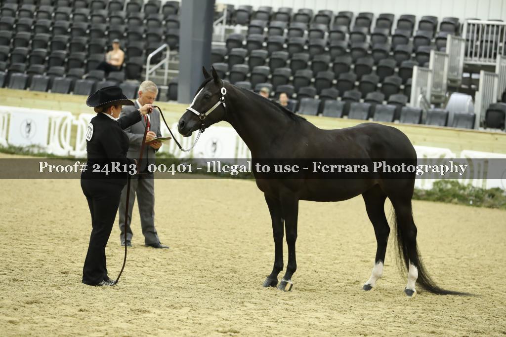 Proof 24R13_00401