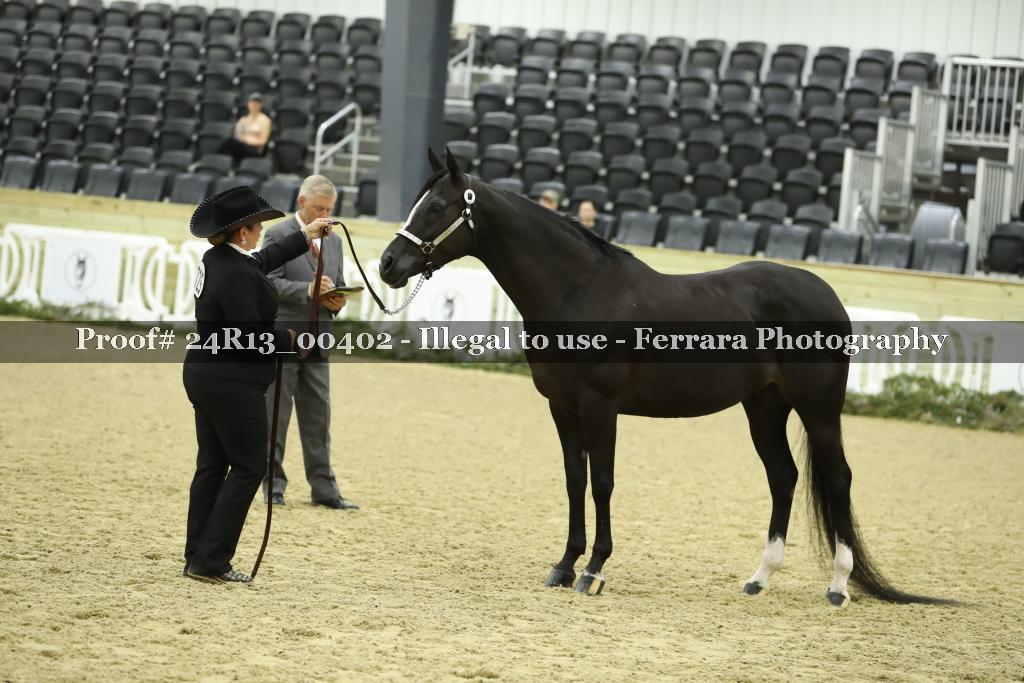 Proof 24R13_00402