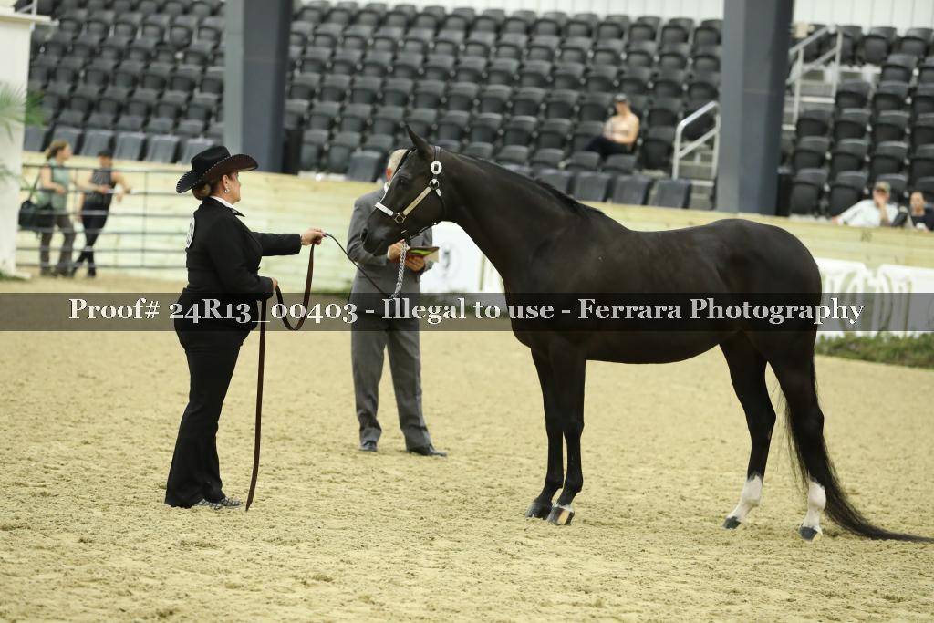 Proof 24R13_00403