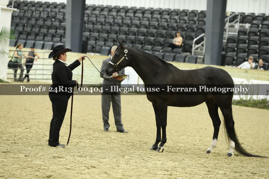 Proof 24R13_00404