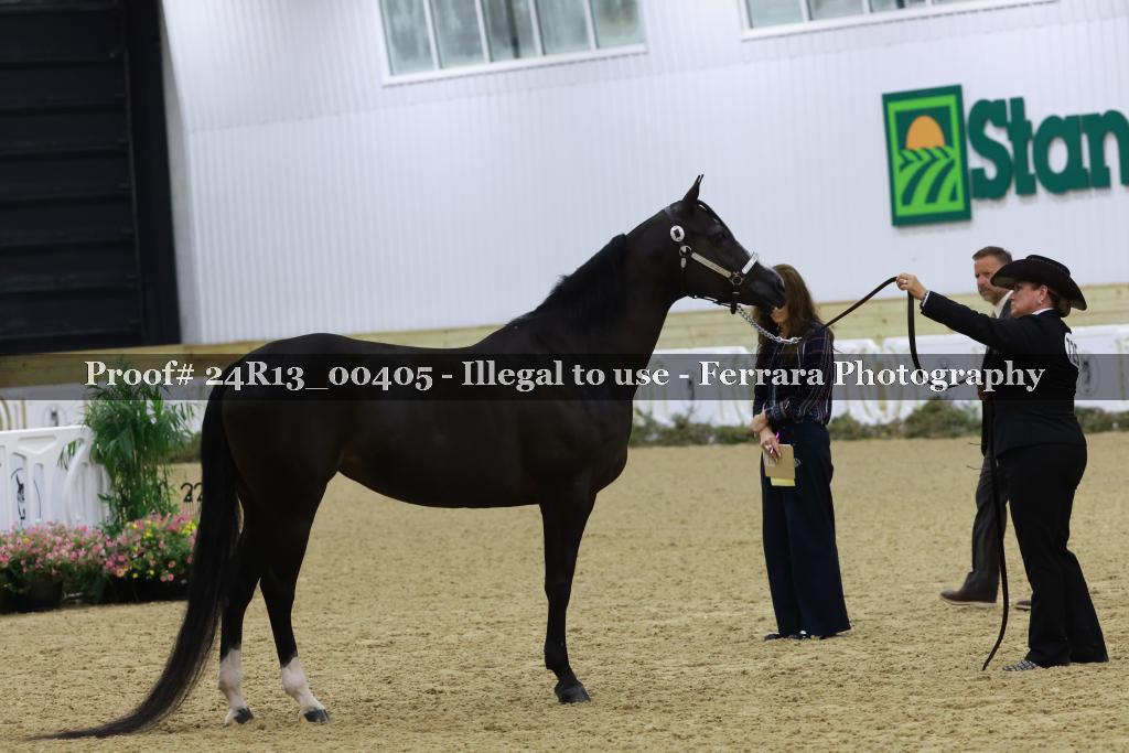 Proof 24R13_00405