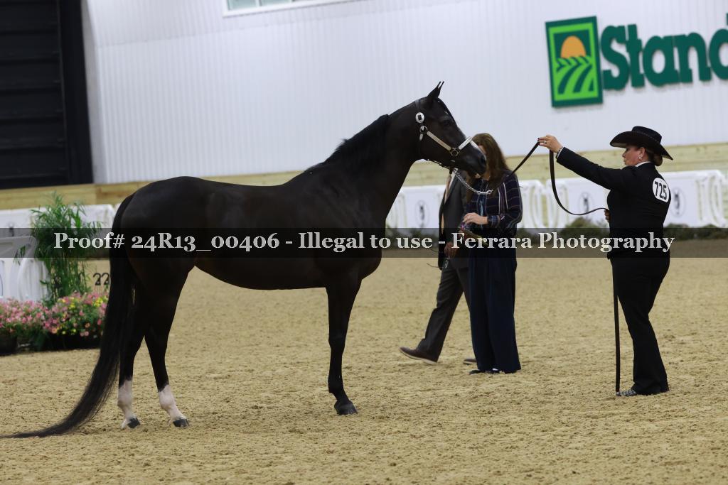 Proof 24R13_00406
