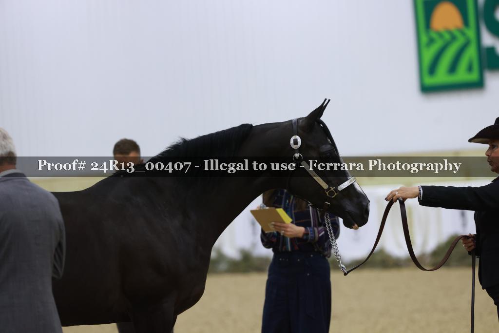 Proof 24R13_00407