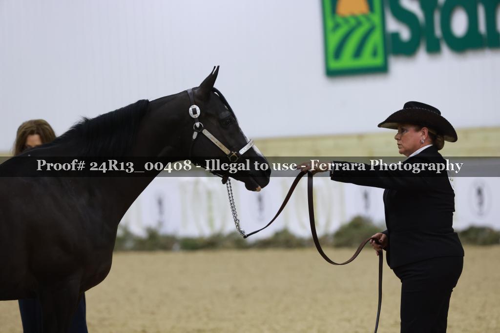 Proof 24R13_00408