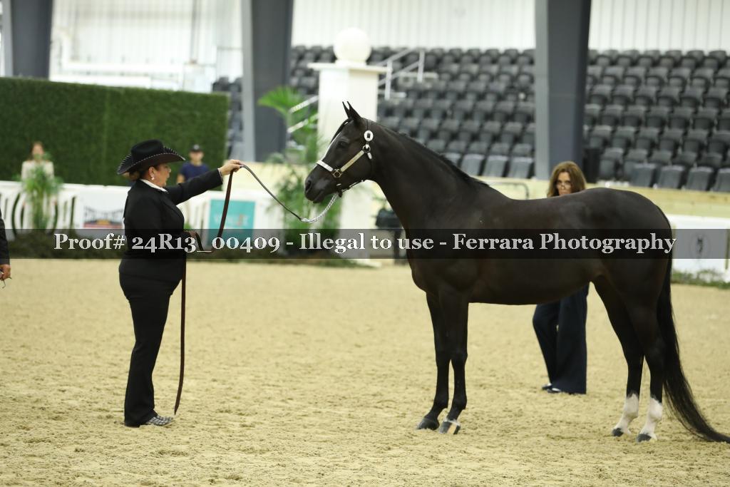 Proof 24R13_00409