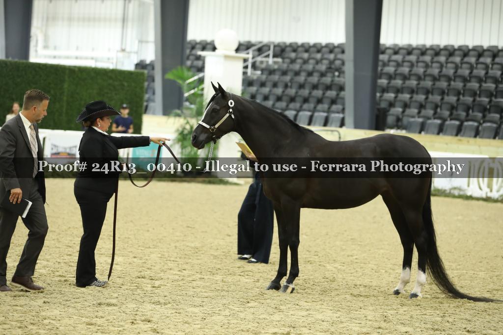 Proof 24R13_00410