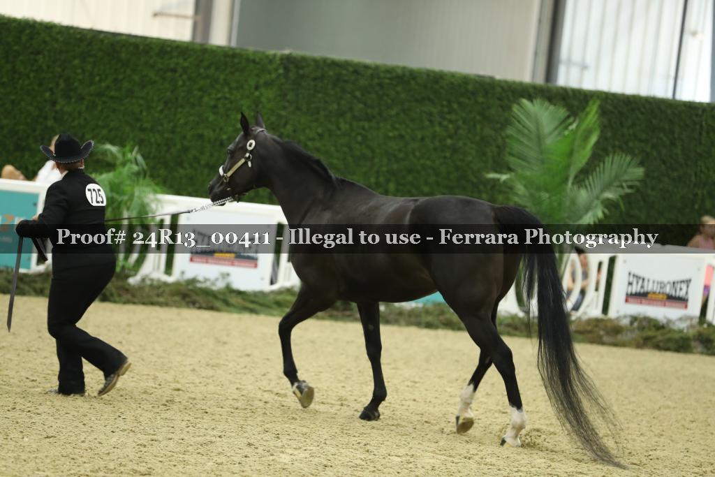 Proof 24R13_00411