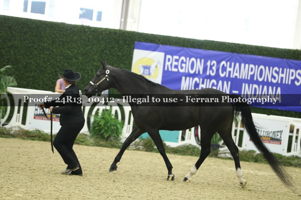 Proof 24R13_00412
